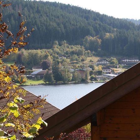 Chalet Vosgien Gérardmer Exterior foto